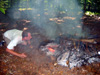Waldspiel